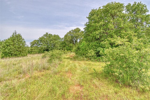 13086 240th, Blanchard, OK 73010 - view of undeveloped land