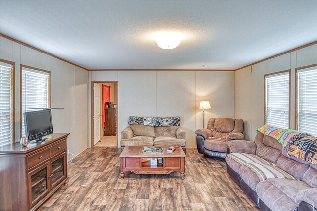 13086 240th, Blanchard, OK 73010 - living room with crown molding, wood finished floors, and a decorative wall