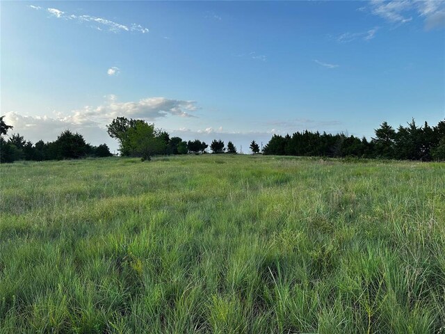 County St Unit 2870 2, Chickasha, OK 73018 - photo 29