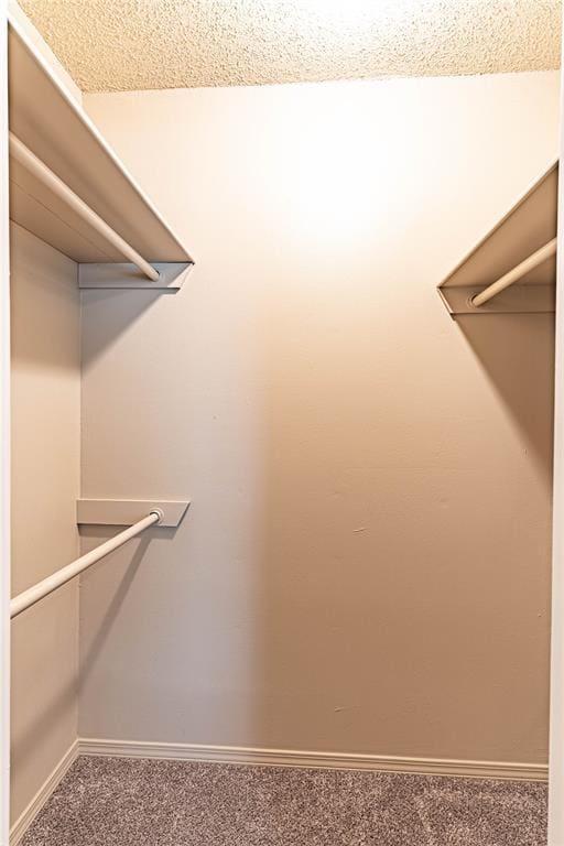 1343 E Moses St, Cushing, OK 74023 - walk in closet featuring carpet flooring