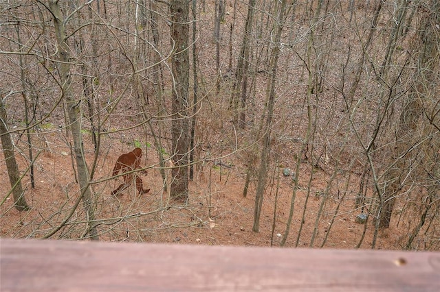 1073 Southern Hills Cir, Broken Bow, OK 74728 - view of local wilderness