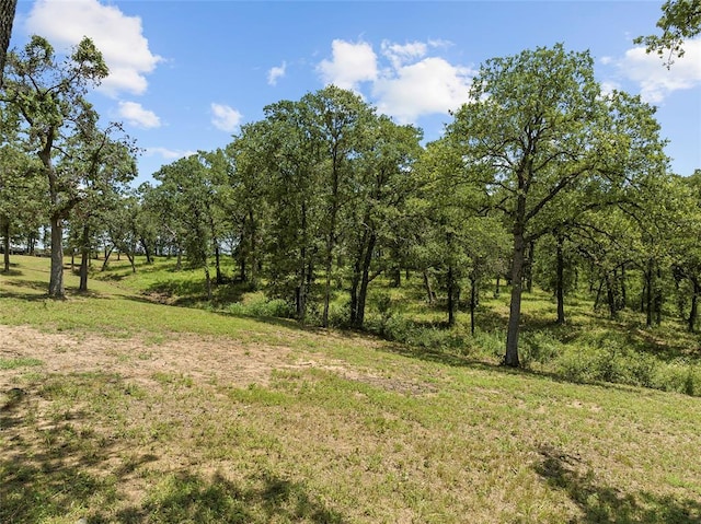21390 US Highway 70, Wilson, OK 73463 - photo 44