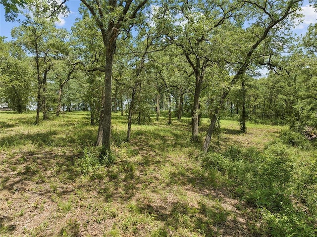 21390 US Highway 70, Wilson, OK 73463 - photo 46