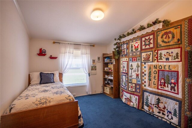 24195 E 1130th Rd, Colony, OK 73021 - photo 12