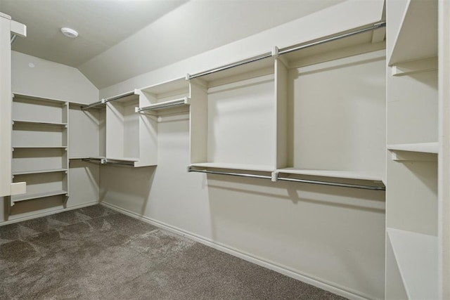 917 NW 186th St, Edmond, OK 73012 - walk in closet with dark carpet and vaulted ceiling