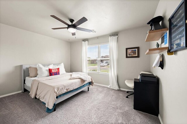 479 Fox Den Dr, Newcastle, OK 73065 - photo 27