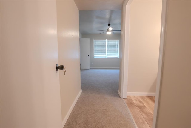 1725 E Lindsey St Unit 2, Norman, OK 73071 - corridor featuring light colored carpet and light wood-type flooring
