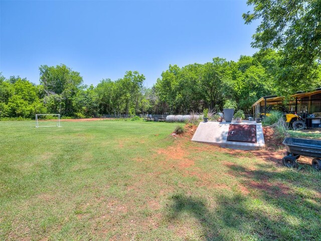 3 Antler Blvd, Mcloud, OK 74851 - view of yard