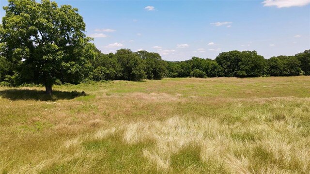5311 S Cason Rd, Marlow, OK 73055 - view of tree filled area with a view of countryside