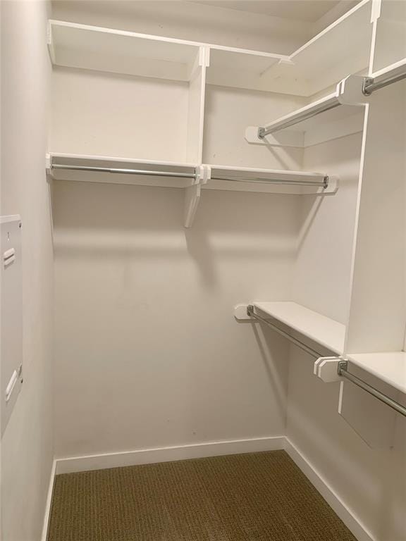1305 NE 6th St, Oklahoma City, OK 73117 - walk in closet with carpet flooring