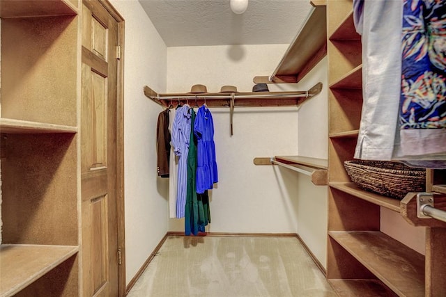 2010 Trailview Ct, Norman, OK 73072 - walk in closet with light colored carpet