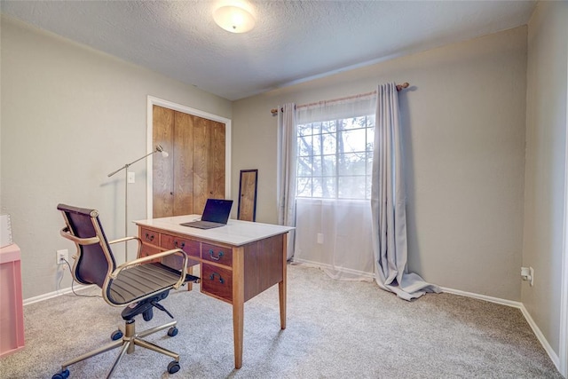 2010 Trailview Ct, Norman, OK 73072 - home office with a textured ceiling, light carpet, and baseboards