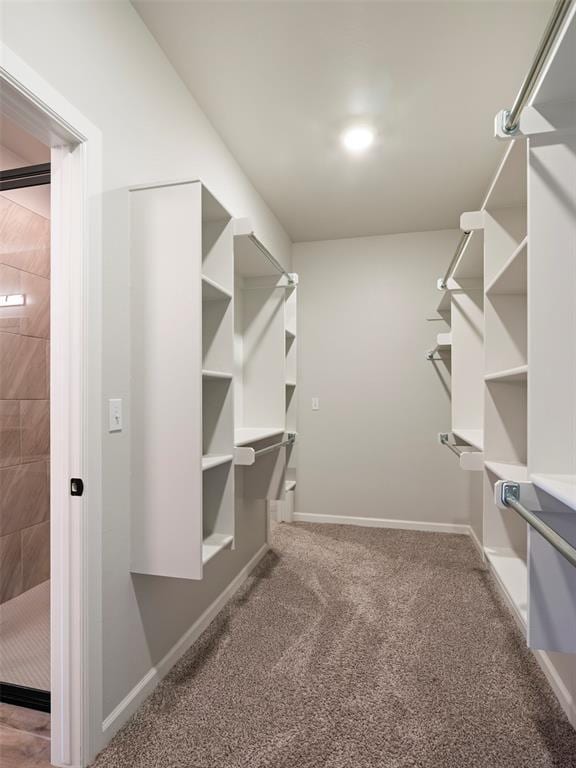 19608 Dalemead Way, Edmond, OK 73012 - spacious closet featuring carpet floors