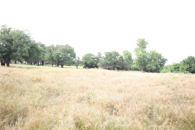 12693 258th St, Blanchard, OK 73010 - view of undeveloped land featuring rural landscape