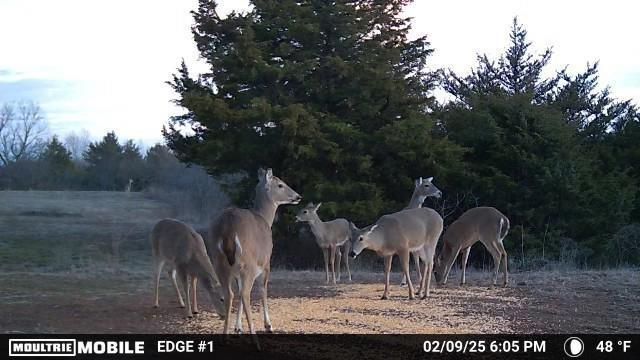 342420 E 1070th Rd, Meeker, OK 74855 - photo 50