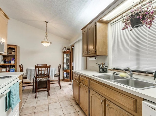 302 W Branches Way, Mustang, OK 73064 - kitchen featuring white electric range, vaulted ceiling, light countertops, decorative light fixtures, and stainless steel dishwasher