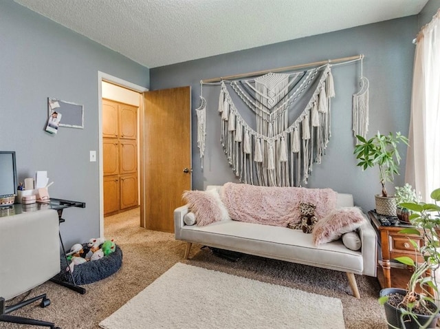 302 W Branches Way, Mustang, OK 73064 - carpeted living room featuring a textured ceiling
