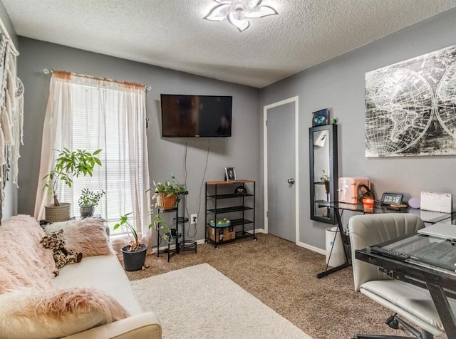 302 W Branches Way, Mustang, OK 73064 - living area featuring carpet flooring and a textured ceiling
