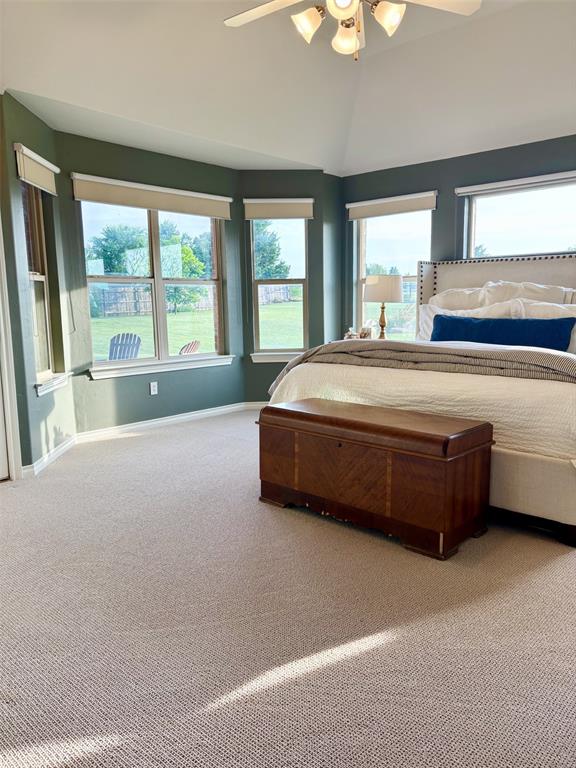 20301 Flowered Meadows Way, Edmond, OK 73012 - carpeted bedroom featuring multiple windows, lofted ceiling, and a ceiling fan