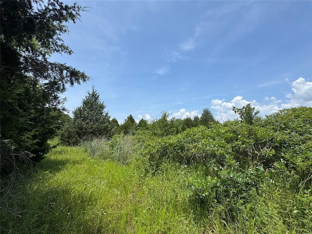 36166 Ew 1120th Rd, Seminole, OK 74868 - view of tree filled area