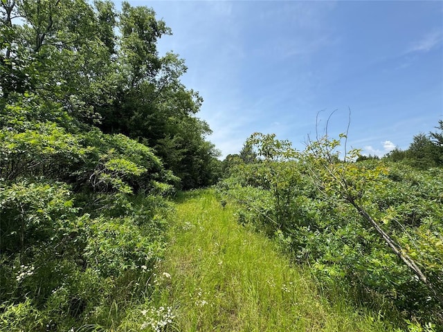 36166 Ew 1120th Rd, Seminole, OK 74868 - view of nature