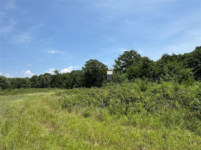 36166 Ew 1120th Rd, Seminole, OK 74868 - view of local wilderness