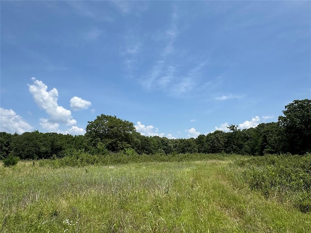 36166 Ew 1120th Rd, Seminole, OK 74868 - view of wooded area