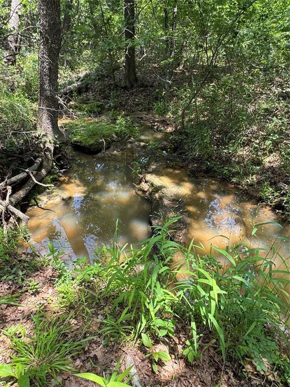 36166 Ew 1120th Rd, Seminole, OK 74868 - view of local wilderness