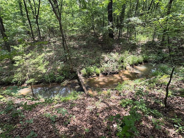 36166 Ew 1120th Rd, Seminole, OK 74868 - view of woods
