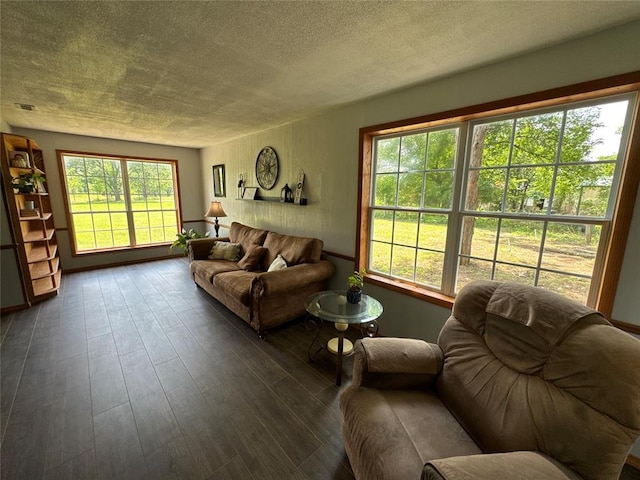 36166 Ew 1120th Rd, Seminole, OK 74868 - living area featuring dark wood-style floors and a textured ceiling