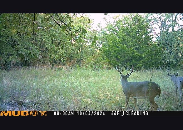 4179 W Gatlin St, Duncan, OK 73535 - view of local wilderness