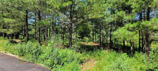 28 Creek Side Trl, Hochatown, OK 74728