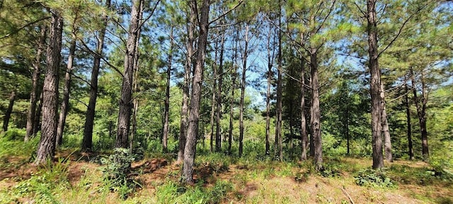 28 Creek Side Trl, Hochatown, OK 74728