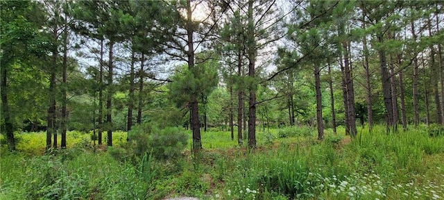 28 Creek Side Trl, Hochatown, OK 74728
