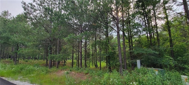 28 Creek Side Trl, Hochatown, OK 74728