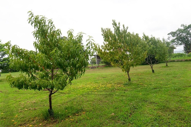1383 N Peebly Rd, Choctaw, OK 73020 - view of green lawn