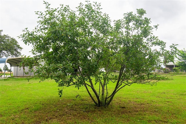 1383 N Peebly Rd, Choctaw, OK 73020 - view of grassy yard with a detached carport