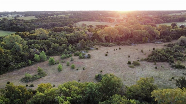 10005 Banner Rd, Lexington, OK 73051 - photo 6