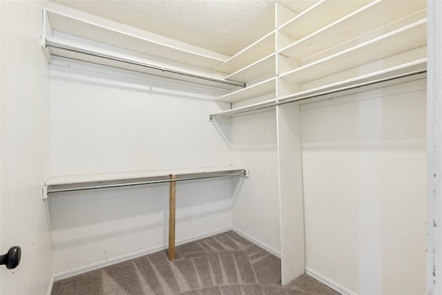 2309 Morning Glory Dr, Oklahoma City, OK 73159 - walk in closet featuring carpet