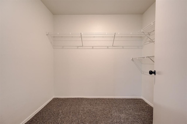11116 SW 37th St, Mustang, OK 73064 - walk in closet featuring carpet flooring