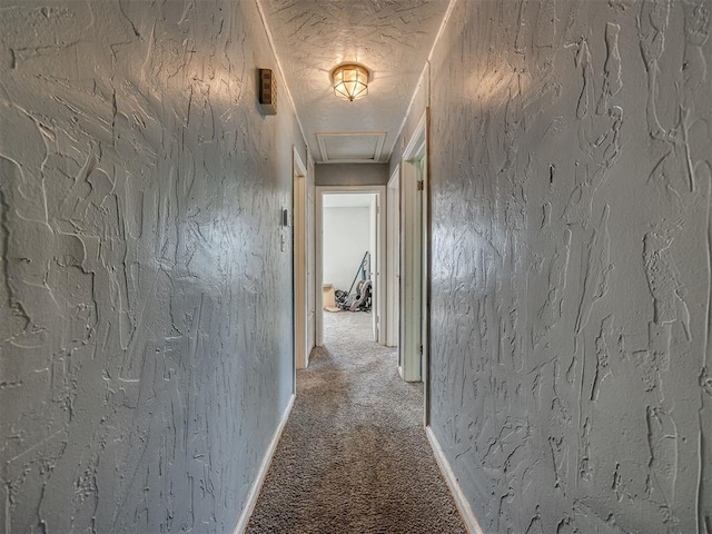 109 E Northrup Dr, Oklahoma City, OK 73110 - hallway with carpet and attic access