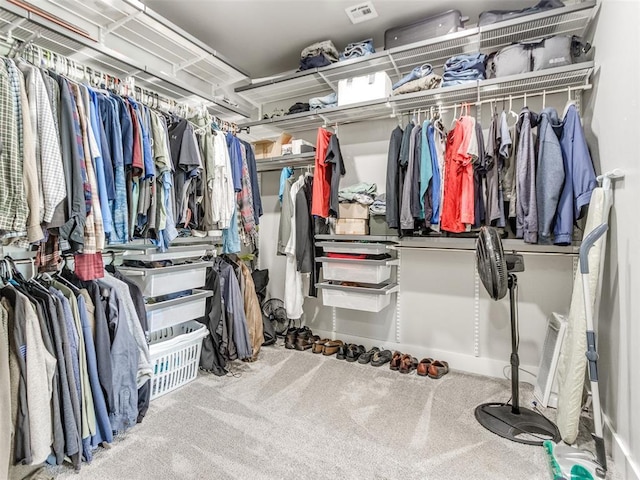 22795 Cterling Dr, Kingfisher, OK 73750 - spacious closet with carpet