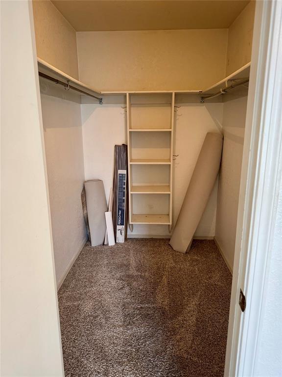 3000 Chautauqua Ave Unit 208, Norman, OK 73072 - walk in closet featuring carpet