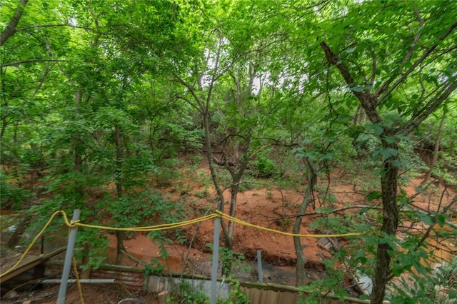 17856 Beechnut Ln, Alex, OK 73003 - view of yard