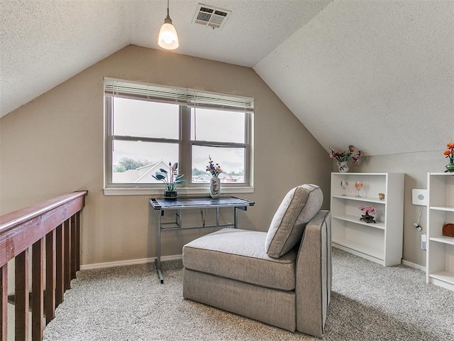 401 NW 120th St, Oklahoma City, OK 73114 - sitting room with a textured ceiling, lofted ceiling, carpet floors, and plenty of natural light