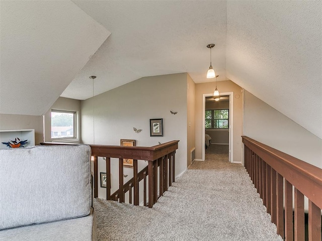401 NW 120th St, Oklahoma City, OK 73114 - additional living space with lofted ceiling, carpet, plenty of natural light, and a textured ceiling