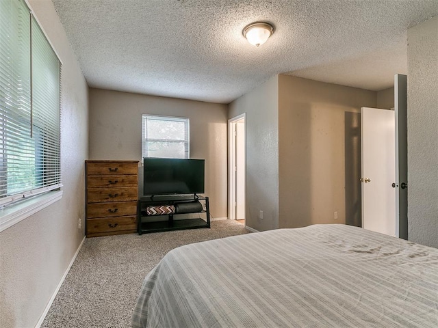 401 NW 120th St, Oklahoma City, OK 73114 - bedroom with carpet, a textured wall, and a textured ceiling