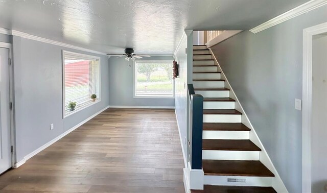 15274 US Highway 283, Blair, OK 73526 - stairs featuring ornamental molding, a ceiling fan, and wood finished floors
