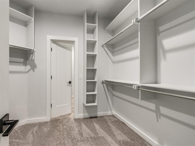 8520 NW 123rd St, Oklahoma City, OK 73142 - spacious closet with carpet flooring