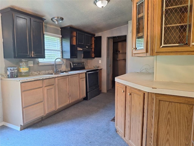 18451 Rolling Oak Rd, Newalla, OK 74857 - kitchen with stainless steel range with electric cooktop, light colored carpet, range hood, light countertops, and a textured ceiling